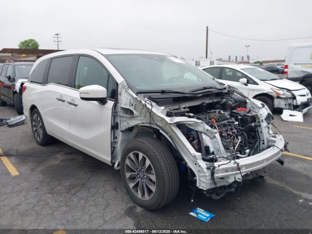 2024 HONDA ODYSSEY 5FNRL6H69RB068483