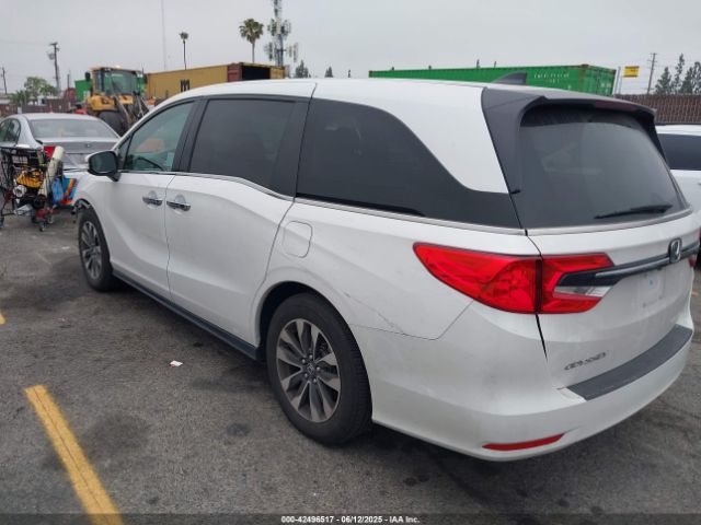 2024 HONDA ODYSSEY 5FNRL6H69RB068483 Photo 2