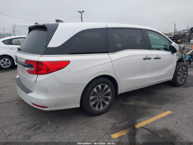 2024 HONDA ODYSSEY 5FNRL6H69RB068483 Photo 3