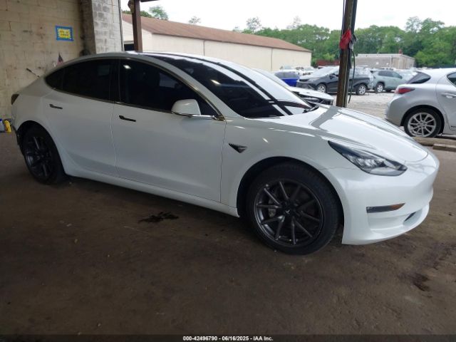 2019 TESLA MODEL 3 5YJ3E1EA9KF300243
