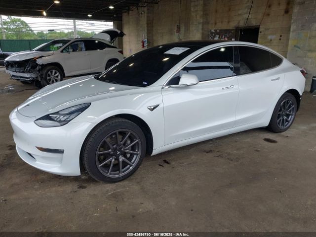 2019 TESLA MODEL 3 5YJ3E1EA9KF300243 Photo 1