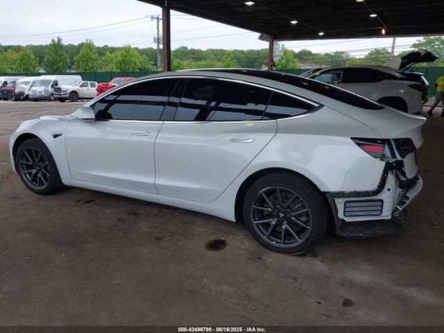 2019 TESLA MODEL 3 5YJ3E1EA9KF300243 Photo 2