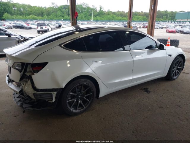 2019 TESLA MODEL 3 5YJ3E1EA9KF300243 Photo 3