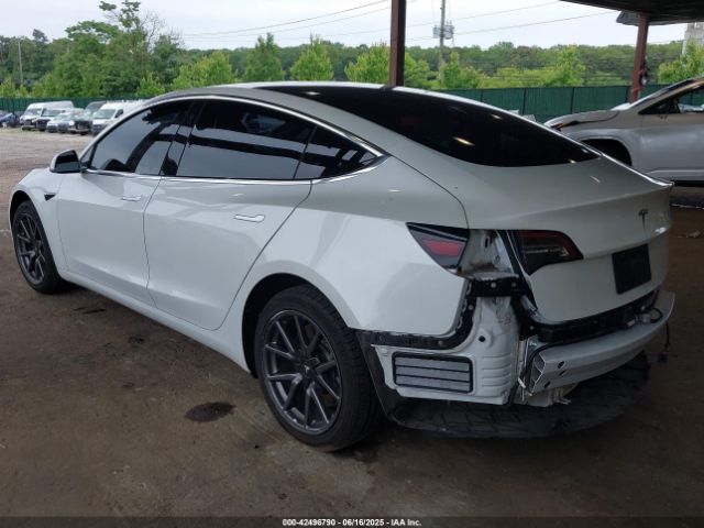 2019 TESLA MODEL 3 5YJ3E1EA9KF300243 Photo 5