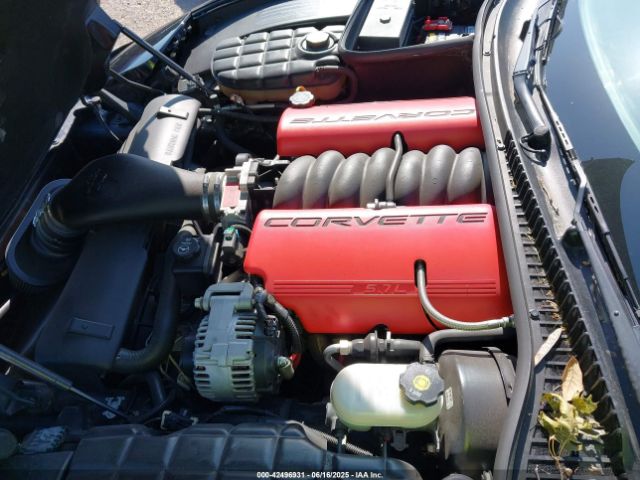 2004 CHEVROLET CORVETTE 1G1YY12S045125159 Photo 9