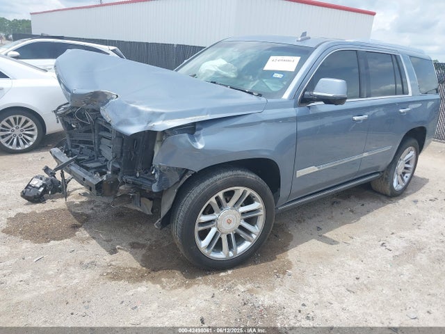2016 CADILLAC ESCALADE 1GYS4DKJ5GR309585 Photo 1