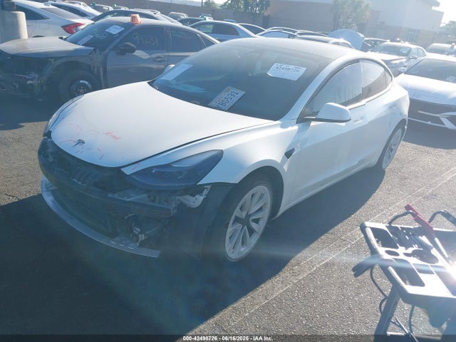 Tesla MODEL 3 2021 5YJ3E1EB8MF005923 Image 2