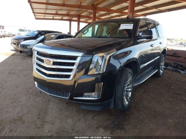 2019 CADILLAC ESCALADE 1GYS4BKJ2KR337275 Photo 1