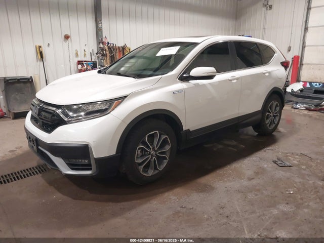 Honda lfb2 2022 5J6RT6H57NL004886 Image 2