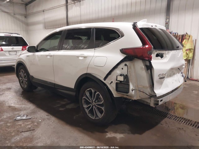 Honda lfb2 2022 5J6RT6H57NL004886 Image 3