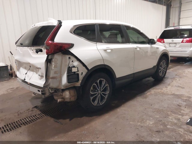 Honda lfb2 2022 5J6RT6H57NL004886 Image 4