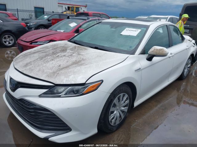 4T1B31HK4JU004246 Toyota Camry Hybrid Le
