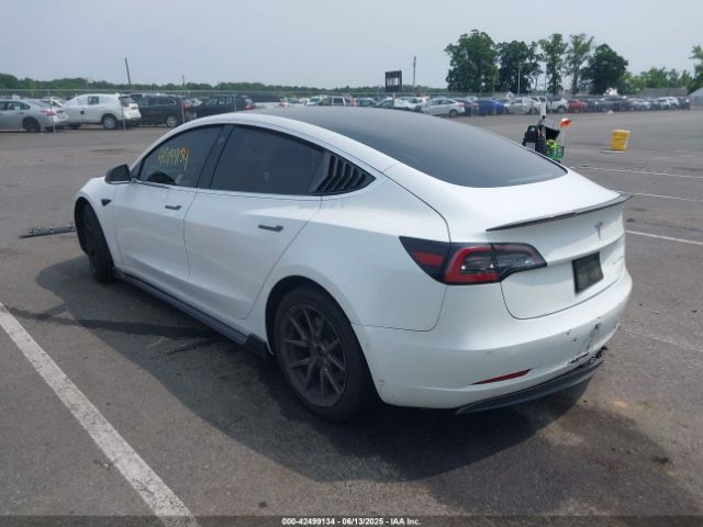 2019 TESLA MODEL 3 5YJ3E1EB2KF452003 Photo 2