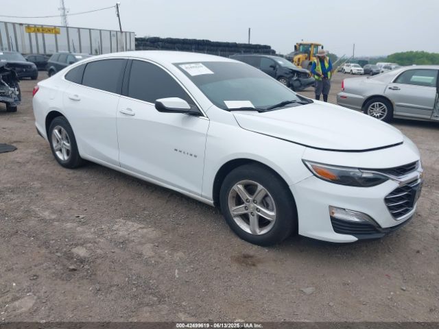 2021 CHEVROLET MALIBU 1G1ZB5ST6MF044358