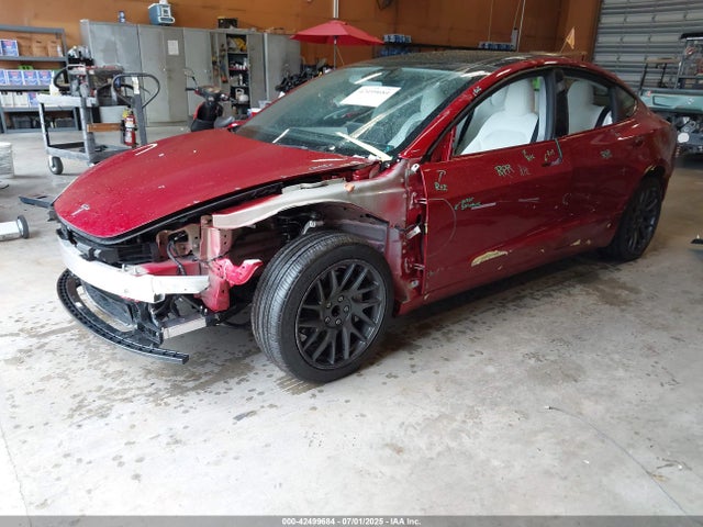 42499684 :رقم المزاد ، 5YJ3E1EA2SF881830 vin ، 2025 Tesla Model 3 Long Range Rear-wheel Drive مزاد بيع