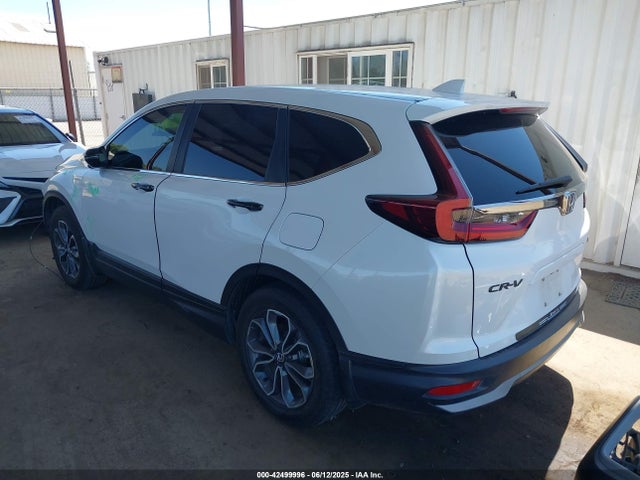 Honda lfb2 2022 5J6RT6H86NL028901 Image 3