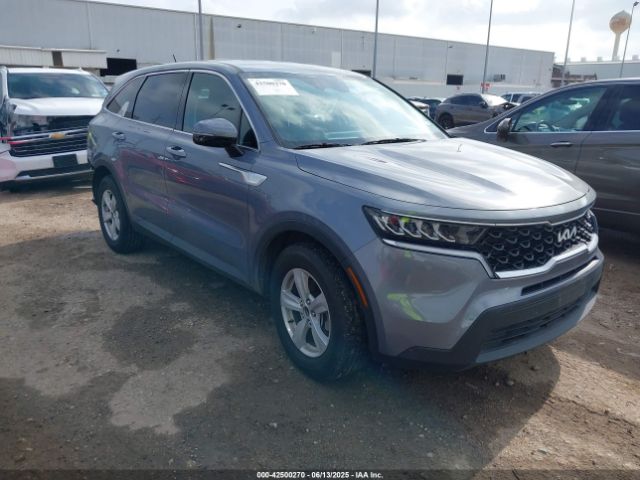 2023 KIA SORENTO 5XYRG4LC3PG200519
