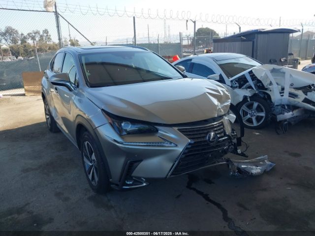2021 LEXUS NX 300H JTJGJRDZ6M2166006