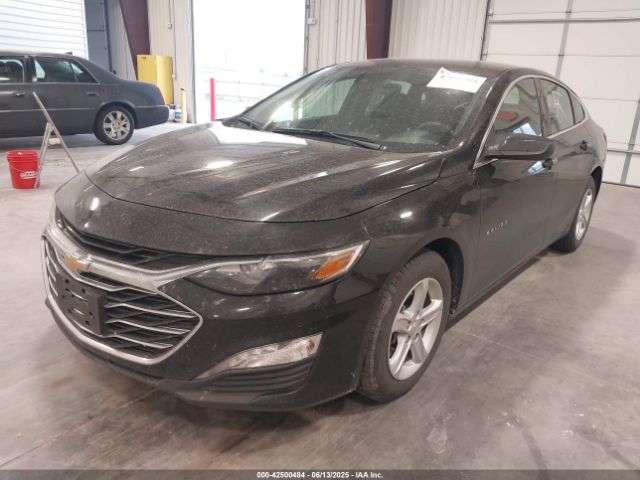 2023 CHEVROLET MALIBU 1G1ZD5ST7PF185616 Photo 1