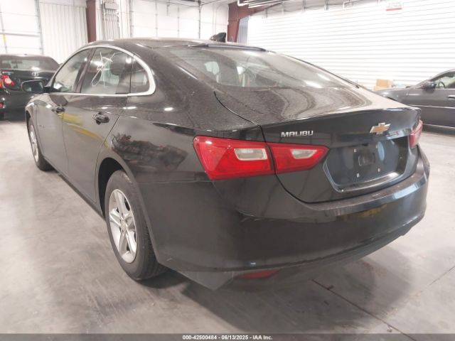 2023 CHEVROLET MALIBU 1G1ZD5ST7PF185616 Photo 2