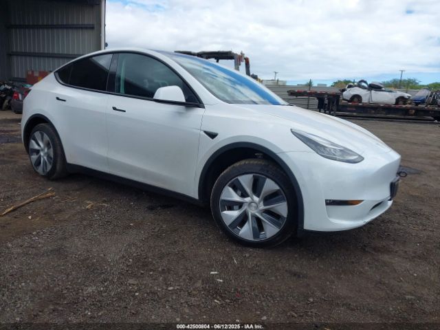 2021 TESLA MODEL Y 5YJYGAED0MF176005