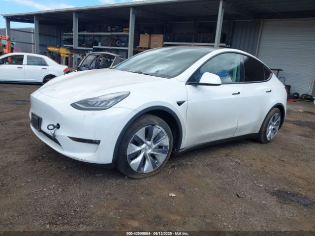 2021 TESLA MODEL Y 5YJYGAED0MF176005 Photo 1