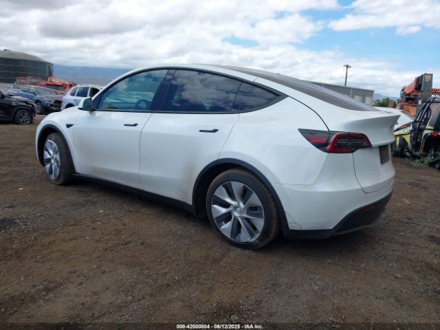 2021 TESLA MODEL Y 5YJYGAED0MF176005 Photo 2