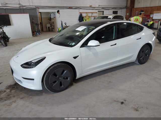 2023 TESLA MODEL 3 5YJ3E1EA8PF501350 Photo 1