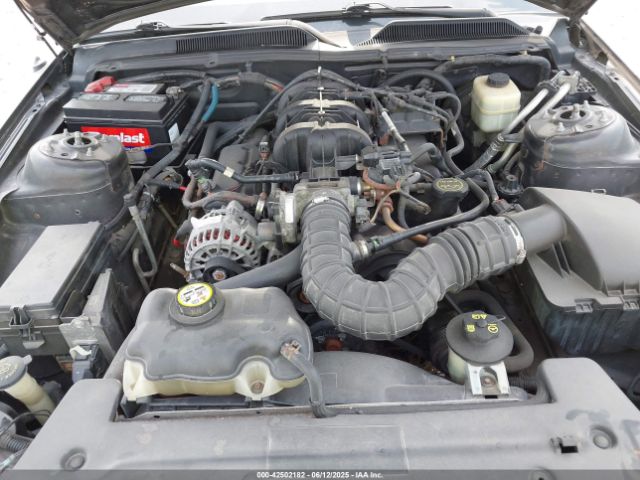 2008 FORD MUSTANG 1ZVHT80N485109173 Photo 9