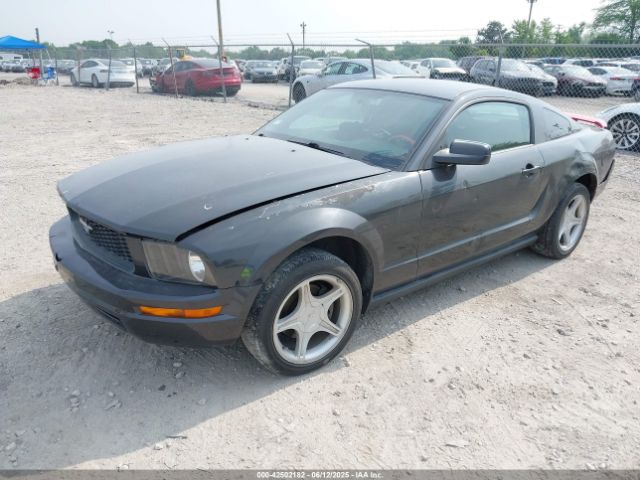 2008 FORD MUSTANG 1ZVHT80N485109173 Photo 1