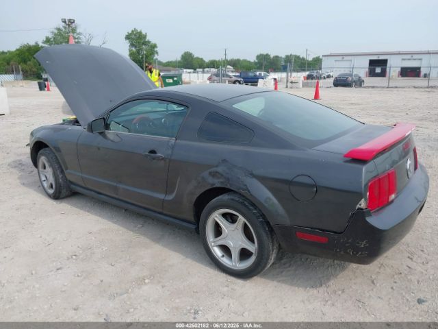 2008 FORD MUSTANG 1ZVHT80N485109173 Photo 2