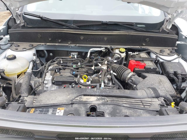 3FMCR9B65RRE73328 Ford dragon