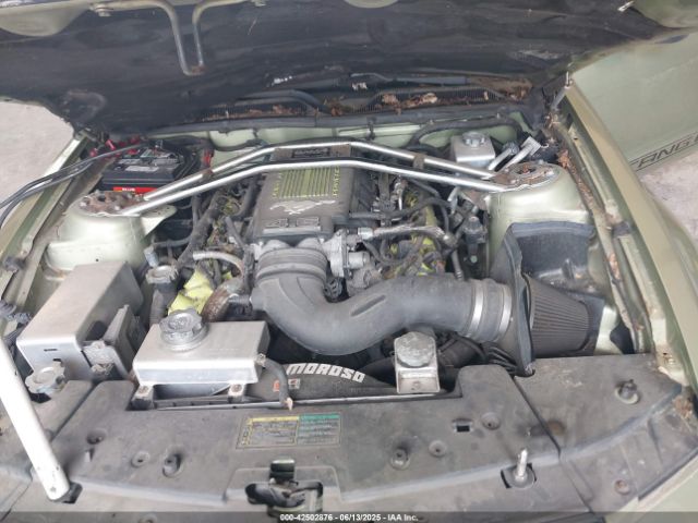 2006 FORD MUSTANG 1ZVFT82H065209069 Photo 9
