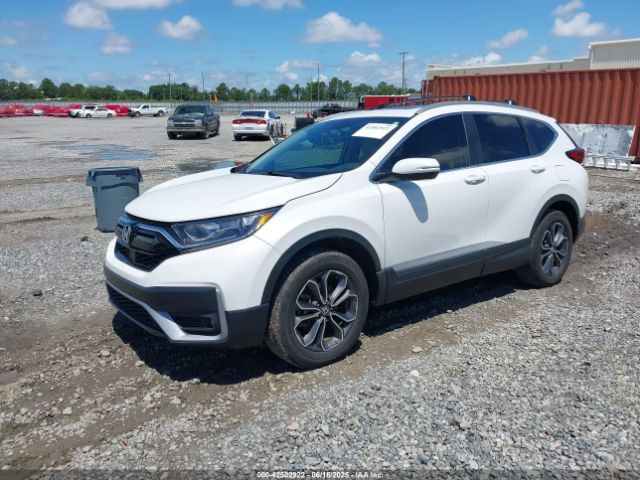 2021 HONDA CR-V 5J6RW2H82MA008803 Photo 1