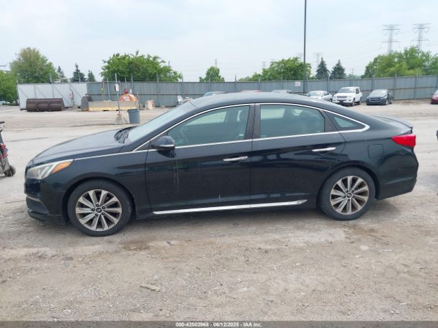 5NPE34AF7FH193072 Hyundai Sonata Sport