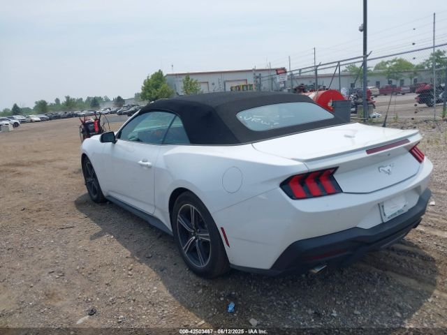 2024 FORD MUSTANG 1FAGP8UH1R5124972 Photo 2