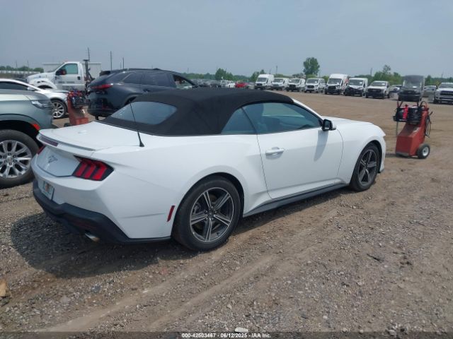 2024 FORD MUSTANG 1FAGP8UH1R5124972 Photo 3