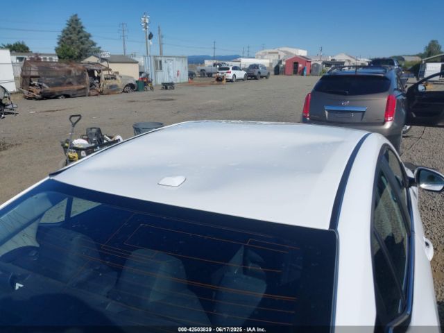 2024 NISSAN SENTRA 3N1AB8CV3RY351009 Photo 5