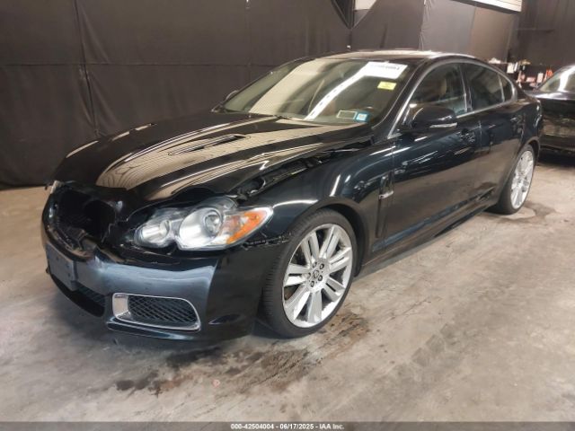 2011 JAGUAR XF SAJWA0JC2BMS20690 Photo 1