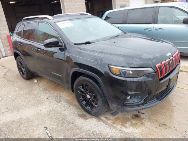 2019 JEEP CHEROKEE 1C4PJLCB5KD358250