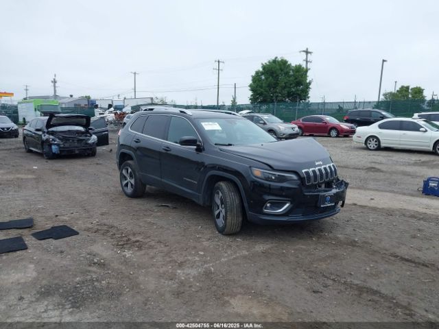 Jeep Cherokee 2019 1C4PJMDN9KD292316 main image