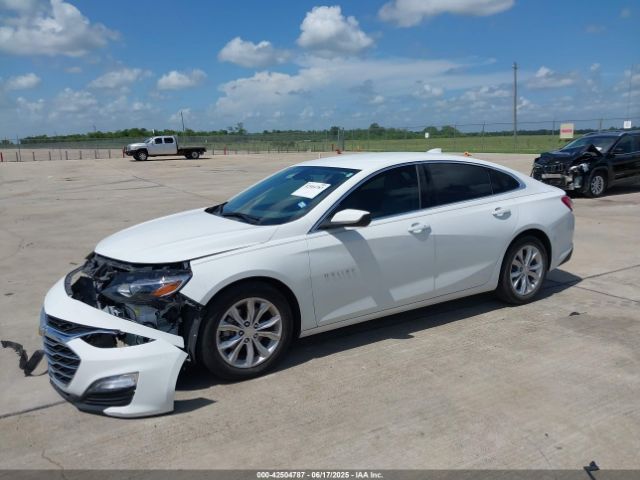 2019 CHEVROLET MALIBU 1G1ZD5ST7KF179081 Photo 1