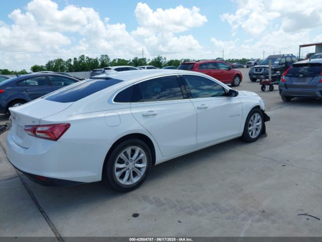 2019 CHEVROLET MALIBU 1G1ZD5ST7KF179081 Photo 3