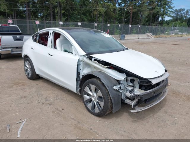2021 TESLA MODEL Y 5YJYGDEEXMF071692