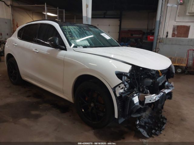 2021 ALFA ROMEO STELVIO ZASPAKBN1M7D10288