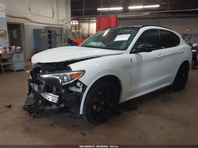 2021 ALFA ROMEO STELVIO ZASPAKBN1M7D10288 Photo 1