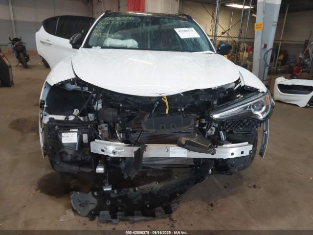 2021 ALFA ROMEO STELVIO ZASPAKBN1M7D10288 Photo 5