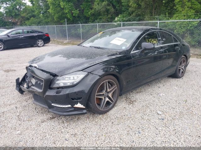 2013 MERCEDES-BENZ CLS 550 WDDLJ9BB4DA060771 Photo 1