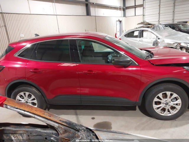 1FMCU9GN8PUA96630 Ford dragon gtdi