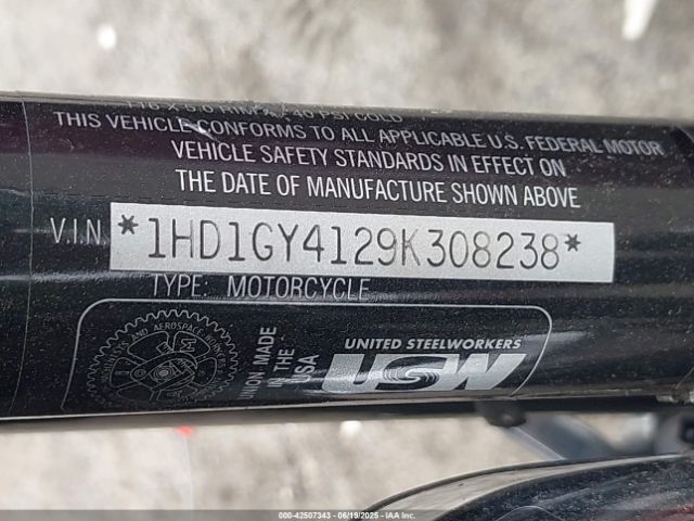 2009 HARLEY-DAVIDSON FXDF 1HD1GY4129K308238 Photo 9